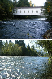 McKenzie River